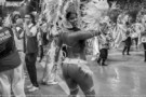 Carnaval 2019 Sambódromo Anhembi, Sábado, 2019-03-02