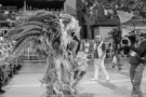 Carnaval 2019 Sambódromo Anhembi, Sábado, 2019-03-02